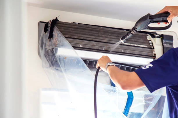 Best Air Vent Cleaning Services  in Shackle Island, TN