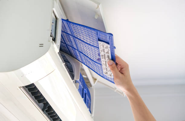 Best Best Air Duct Cleaning Near Me  in Shackle Island, TN